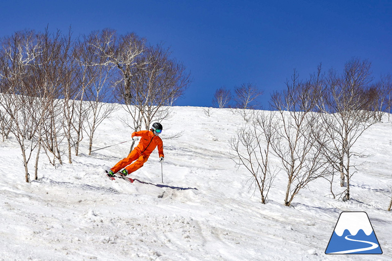 ニセコグラン・ヒラフ DYNASTAR SKI TEST RIDE DAYS Photo Session!!最高の天気に恵まれたニセコに、最高の仲間たちが集まりました☆